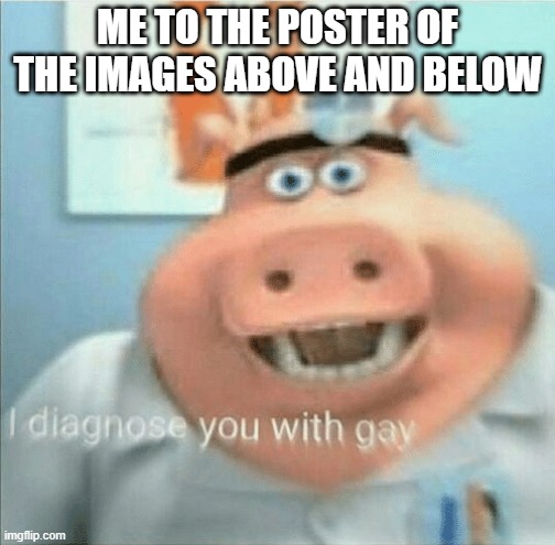 images above/below | ME TO THE POSTER OF THE IMAGES ABOVE AND BELOW | image tagged in i diagnose you with gay | made w/ Imgflip meme maker