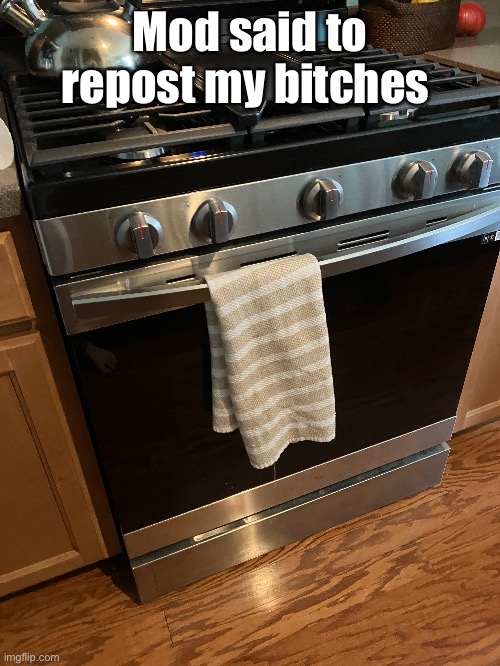 Mod said to repost my bitches | image tagged in yes | made w/ Imgflip meme maker