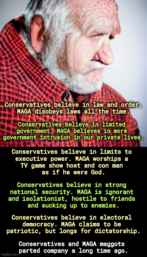 Conservatives believe in law and order.
MAGA disobeys laws all the time. Conservatives believe in limited 
government. MAGA believes in more 
government intrusion in our private lives. Conservatives believe in limits to 
executive power. MAGA worships a 
TV game show host and con man 
as if he were God. Conservatives believe in strong 
national security. MAGA is ignorant 
and isolationist, hostile to friends 
and sucking up to enemies. Conservatives believe in electoral 
democracy. MAGA claims to be 
patriotic, but longs for dictatorship. Conservatives and MAGA maggots 
parted company a long time ago. | image tagged in maga,conservatives,different,power,national security,democracy | made w/ Imgflip meme maker
