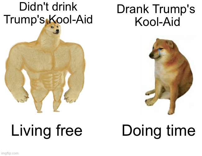 Don't drink the Trump Kool-Aid | Didn't drink
Trump's Kool-Aid; Drank Trump's 
Kool-Aid; Living free; Doing time | image tagged in memes,buff doge vs cheems | made w/ Imgflip meme maker