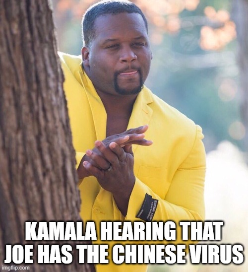 Black guy hiding behind tree | KAMALA HEARING THAT JOE HAS THE CHINESE VIRUS | image tagged in black guy hiding behind tree | made w/ Imgflip meme maker