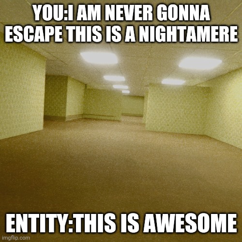 You Vs Entity (feeling about the Backrooms) | YOU:I AM NEVER GONNA ESCAPE THIS IS A NIGHTAMERE; ENTITY:THIS IS AWESOME | image tagged in backrooms | made w/ Imgflip meme maker