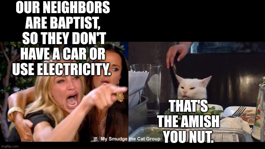 OUR NEIGHBORS ARE BAPTIST,  SO THEY DON'T HAVE A CAR OR USE ELECTRICITY. THAT'S THE AMISH YOU NUT. | image tagged in smudge the cat | made w/ Imgflip meme maker