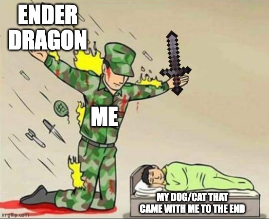 protecting my dog/cat | ENDER DRAGON; ME; MY DOG/CAT THAT CAME WITH ME TO THE END | image tagged in soldier protecting sleeping child | made w/ Imgflip meme maker