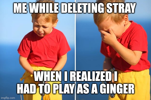 Crying kid with gun | ME WHILE DELETING STRAY; WHEN I REALIZED I HAD TO PLAY AS A GINGER | image tagged in crying kid with gun | made w/ Imgflip meme maker