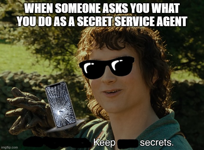 Secret Service Frodo | WHEN SOMEONE ASKS YOU WHAT YOU DO AS A SECRET SERVICE AGENT | image tagged in secret service,frodo,text messages | made w/ Imgflip meme maker