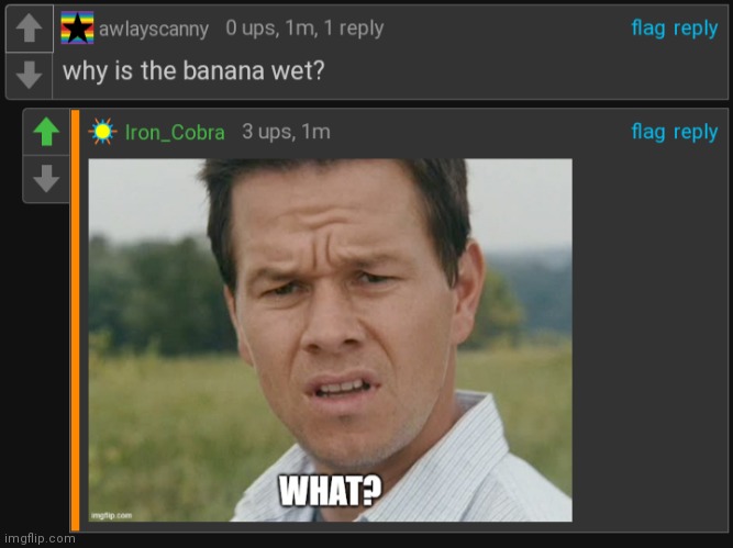 Not sure if I should mark it as nsfw it could go either way so I let mods decide | image tagged in cursed,banana,wet | made w/ Imgflip meme maker