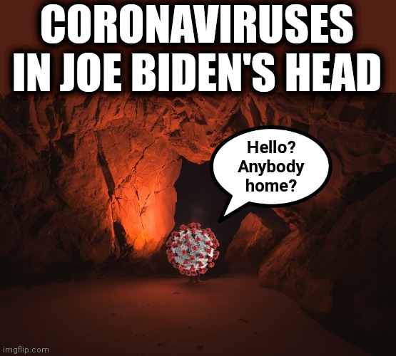 Nobody home | CORONAVIRUSES IN JOE BIDEN'S HEAD; Hello?
Anybody
home? | image tagged in memes,joe biden,coronavirus,head,empty,democrats | made w/ Imgflip meme maker
