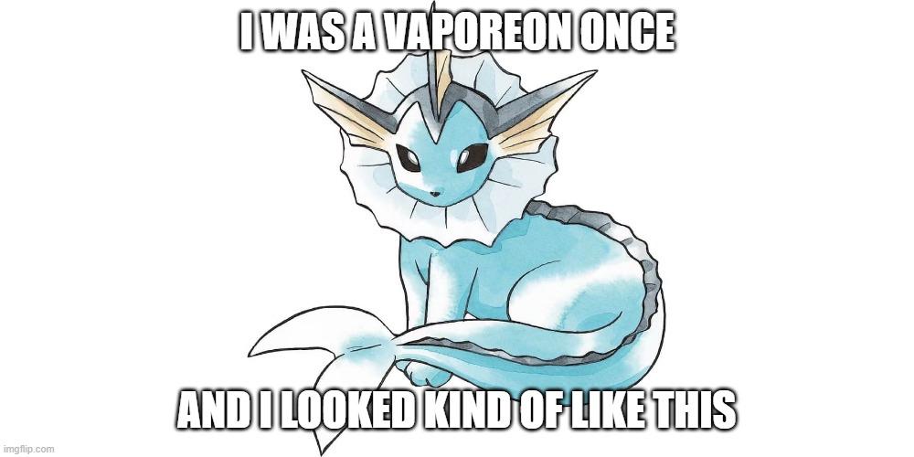 I had a black crest, like the pokemon crystal sprite had | I WAS A VAPOREON ONCE; AND I LOOKED KIND OF LIKE THIS | made w/ Imgflip meme maker
