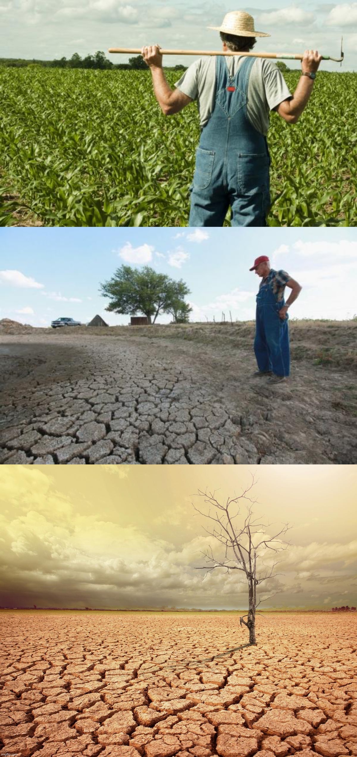 Cringing @ humanity | image tagged in farmer,drought farmer,global warming climate change agriculture collapse desert | made w/ Imgflip meme maker