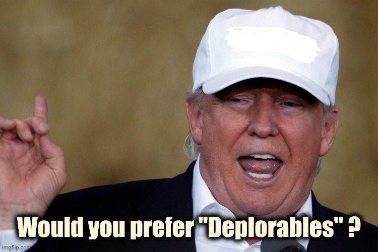 Donald Trump Blank MAGA Hat | Would you prefer "Deplorables" ? | image tagged in donald trump blank maga hat | made w/ Imgflip meme maker