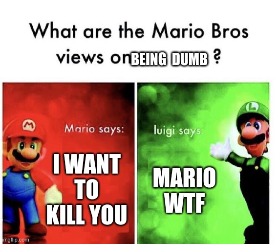 Mario Bros Views | BEING  DUMB; I WANT TO KILL YOU; MARIO WTF | image tagged in mario bros views | made w/ Imgflip meme maker