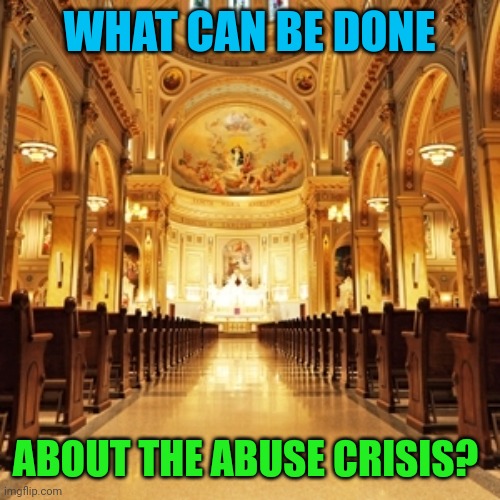 Abuse occurs everywhere not just in catholic churches,  what's the solution? | WHAT CAN BE DONE; ABOUT THE ABUSE CRISIS? | image tagged in catholic church,child abuse | made w/ Imgflip meme maker