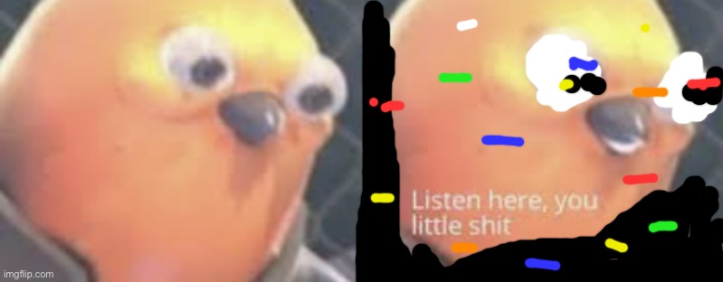 Listen here you little shit bird | image tagged in listen here you little shit bird | made w/ Imgflip meme maker