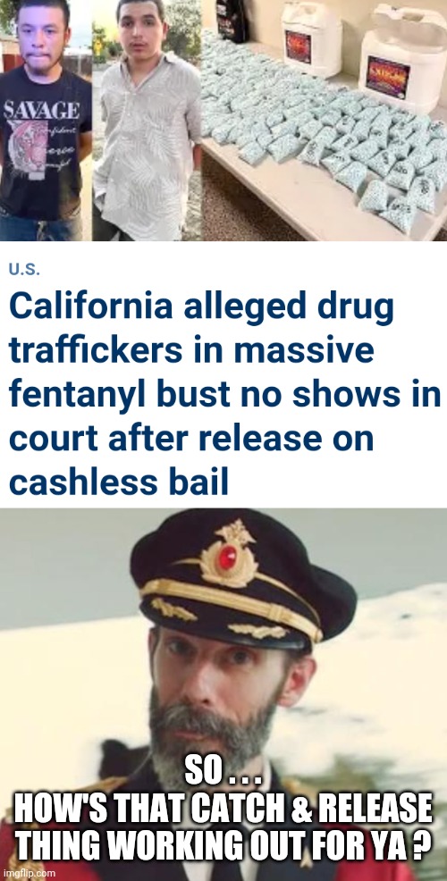 Seems Obvious To Me | SO . . .
HOW'S THAT CATCH & RELEASE THING WORKING OUT FOR YA ? | image tagged in captain obvious,liberals,cartel,border,leftists,democrats | made w/ Imgflip meme maker