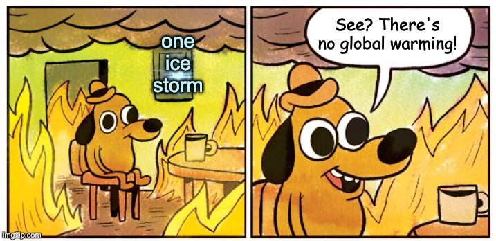This Is Fine Meme | See? There's no global warming! one
ice
storm | image tagged in memes,this is fine | made w/ Imgflip meme maker