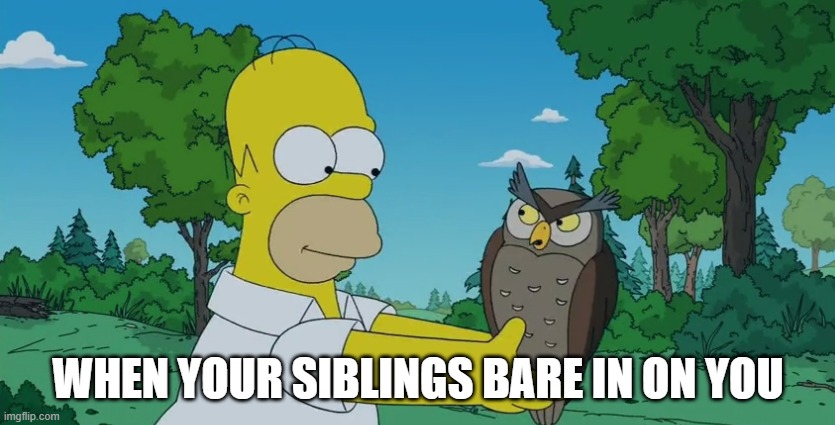 owel | WHEN YOUR SIBLINGS BARE IN ON YOU | image tagged in funny | made w/ Imgflip meme maker