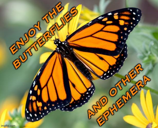 Let tragedy be the root of joy | ENJOY THE
BUTTERFLIES; AND OTHER
EPHEMERA | image tagged in monarch butterfly,insects,extinction,climate change,joy | made w/ Imgflip meme maker