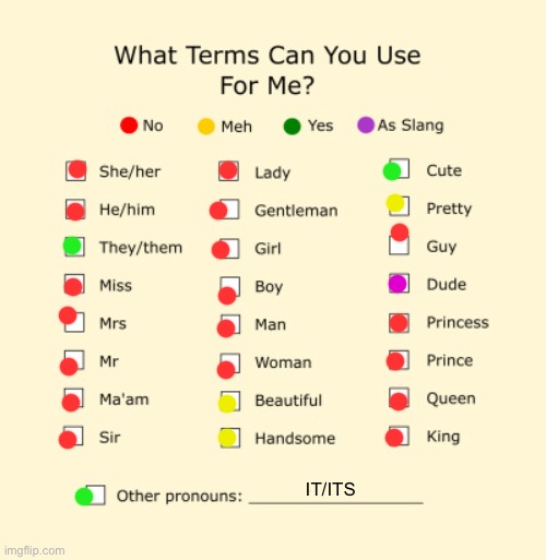 Idk what to call this | IT/ITS | image tagged in pronouns sheet | made w/ Imgflip meme maker