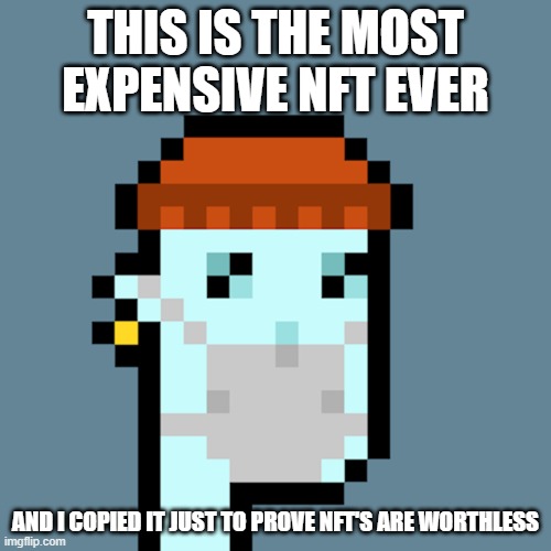 Who agrees with me? |  THIS IS THE MOST EXPENSIVE NFT EVER; AND I COPIED IT JUST TO PROVE NFT'S ARE WORTHLESS | image tagged in nft | made w/ Imgflip meme maker