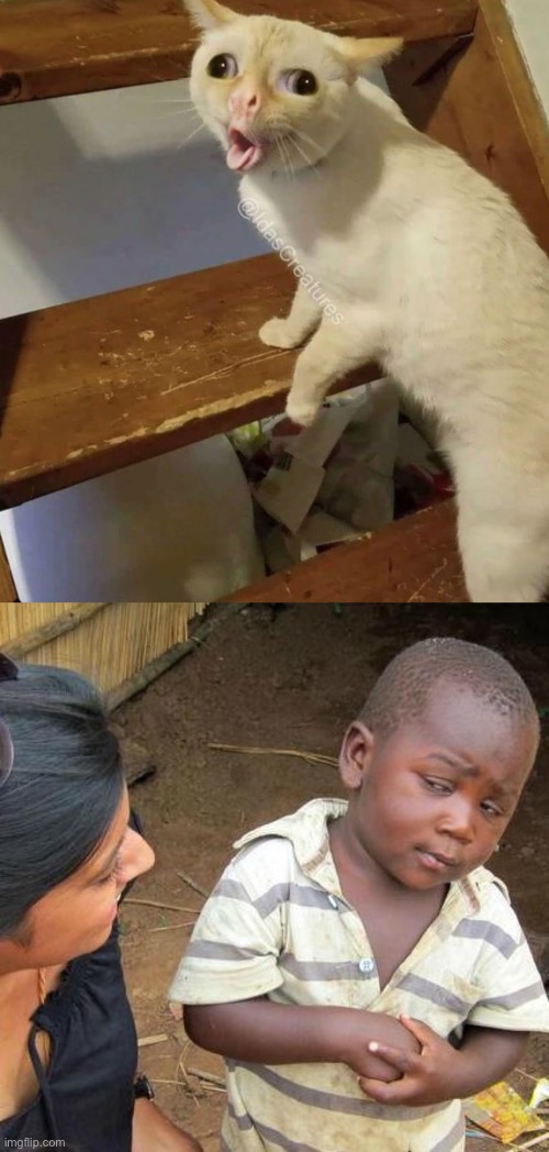 image tagged in memes,third world skeptical kid | made w/ Imgflip meme maker