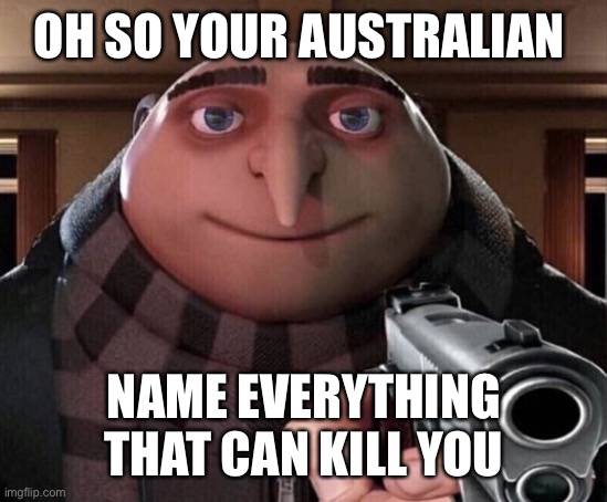 Lol I’m bad at titles | OH SO YOUR AUSTRALIAN; NAME EVERYTHING THAT CAN KILL YOU | image tagged in gru gun | made w/ Imgflip meme maker
