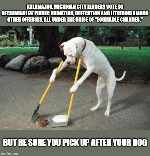 Another Reason to Hate Michigan | KALAMAZOO, MICHIGAN CITY LEADERS VOTE TO DECRIMINALIZE PUBLIC URINATION, DEFECATION AND LITTERING AMONG OTHER OFFENSES, ALL UNDER THE GUISE OF "EQUITABLE CHANGES."; BUT BE SURE YOU PICK UP AFTER YOUR DOG | image tagged in dog poop,michigan sucks,idiocracy,liberal logic | made w/ Imgflip meme maker