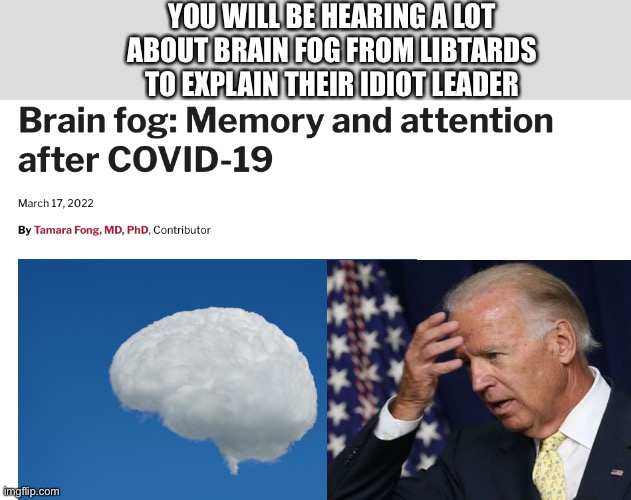 YOU WILL BE HEARING A LOT ABOUT BRAIN FOG FROM LIBTARDS TO EXPLAIN THEIR IDIOT LEADER | made w/ Imgflip meme maker