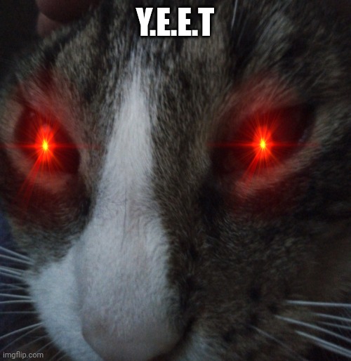 Y.E.E.T |  Y.E.E.T | image tagged in yeet | made w/ Imgflip meme maker