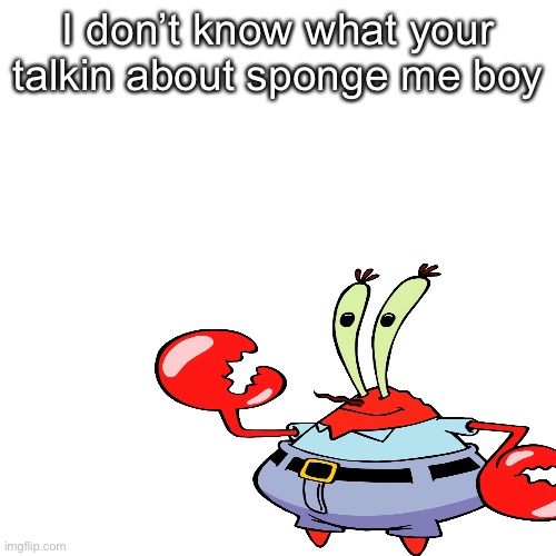 I don’t know what your talkin about sponge me boy | made w/ Imgflip meme maker