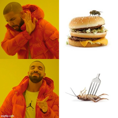 Flyburger | image tagged in memes,drake hotline bling | made w/ Imgflip meme maker