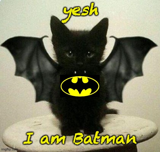 Send up the signal |  yesh; I am Batman | image tagged in bat kitten,cats,kitten,cute,batman | made w/ Imgflip meme maker