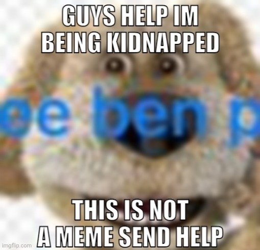 Guys Help I'm Being Kidnapped | image tagged in guys help i'm being kidnapped | made w/ Imgflip meme maker