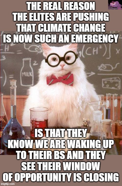Covid didn't work, monkeypox isn't working, now back to climate change. | THE REAL REASON THE ELITES ARE PUSHING THAT CLIMATE CHANGE IS NOW SUCH AN EMERGENCY; IS THAT THEY KNOW WE ARE WAKING UP TO THEIR BS AND THEY SEE THEIR WINDOW OF OPPORTUNITY IS CLOSING | image tagged in science cat | made w/ Imgflip meme maker