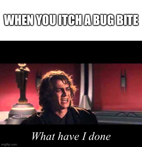 I have a million rn | WHEN YOU ITCH A BUG BITE; What have I done | image tagged in blank white template,anakin what have i done | made w/ Imgflip meme maker