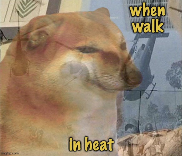 nooooo . . . unless to ice cream store |  when
walk; in heat | image tagged in cheems ptsd,cheems,exercise,heat wave | made w/ Imgflip meme maker