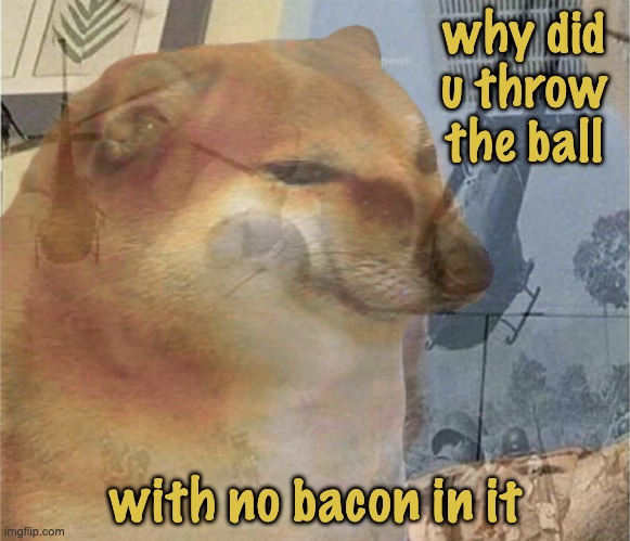 New Cheems template! Cheems remembers . . . |  why did
u throw
the ball; with no bacon in it | image tagged in cheems ptsd,cheems,ball,exercise | made w/ Imgflip meme maker
