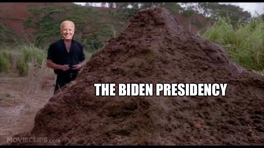 That is one big pile of shit | THE BIDEN PRESIDENCY | image tagged in that is one big pile of shit | made w/ Imgflip meme maker