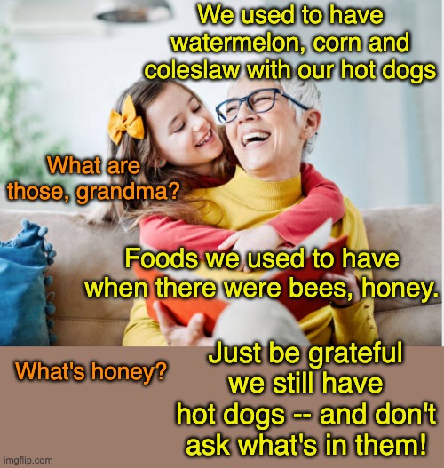 Grandmother and granddaughter | We used to have watermelon, corn and coleslaw with our hot dogs Foods we used to have when there were bees, honey. What are those, grandma?  | image tagged in grandmother and granddaughter | made w/ Imgflip meme maker
