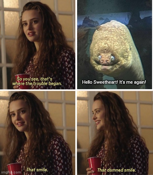 Smile | Hello Sweetheart! It's me again! | image tagged in that damn smile | made w/ Imgflip meme maker