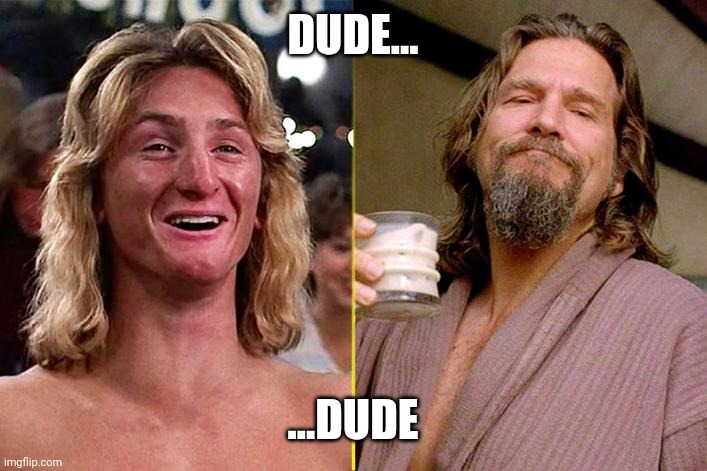 Depends On My Mood | DUDE... ...DUDE | image tagged in dude,the dude,jeff spicoli,spirit animal,shaun of the dead,superbowl | made w/ Imgflip meme maker