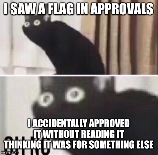Oh no cat | I SAW A FLAG IN APPROVALS; I ACCIDENTALLY APPROVED IT WITHOUT READING IT THINKING IT WAS FOR SOMETHING ELSE | image tagged in oh no cat | made w/ Imgflip meme maker