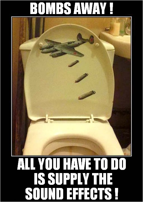 Whistle While You Work ! | BOMBS AWAY ! ALL YOU HAVE TO DO
 IS SUPPLY THE
SOUND EFFECTS ! | image tagged in toilet,bomber,sounds,dark humour | made w/ Imgflip meme maker