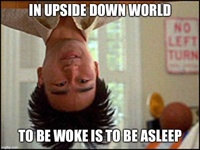 Long Duck Dong (upside down) | IN UPSIDE DOWN WORLD TO BE WOKE IS TO BE ASLEEP | image tagged in long duck dong upside down | made w/ Imgflip meme maker