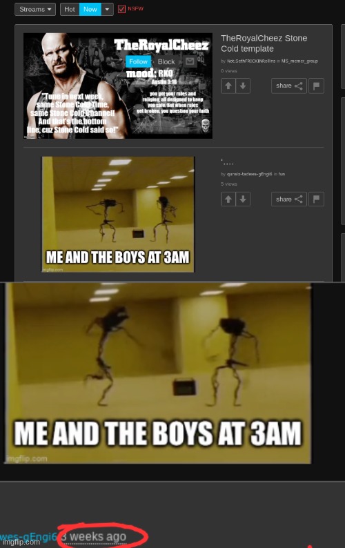 made w/ Imgflip meme maker