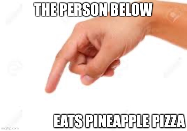 the person below | THE PERSON BELOW; EATS PINEAPPLE PIZZA | image tagged in the person below | made w/ Imgflip meme maker