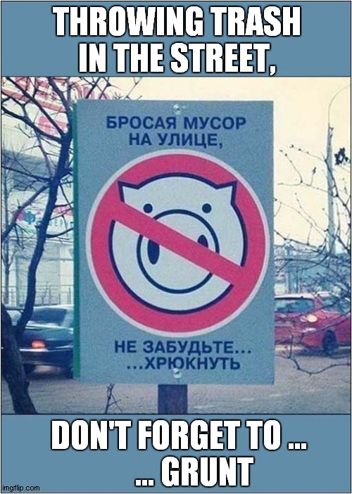 A Curious Sign From Russia ! | THROWING TRASH IN THE STREET, ... GRUNT; DON'T FORGET TO ... | image tagged in funny signs,russian,translation,littering,front page | made w/ Imgflip meme maker