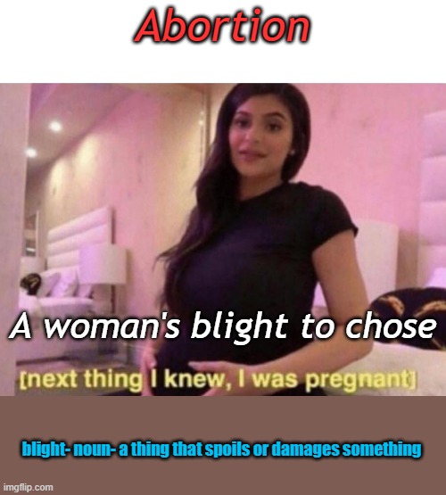 next thing I knew I was pregnant | Abortion; A woman's blight to chose; blight- noun- a thing that spoils or damages something | image tagged in next thing i knew i was pregnant | made w/ Imgflip meme maker