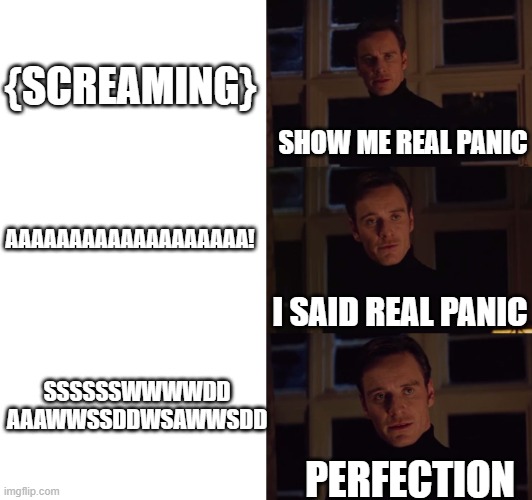 gamers will know |  {SCREAMING}; SHOW ME REAL PANIC; AAAAAAAAAAAAAAAAAAA! I SAID REAL PANIC; SSSSSSWWWWDD
AAAWWSSDDWSAWWSDD; PERFECTION | image tagged in perfection | made w/ Imgflip meme maker