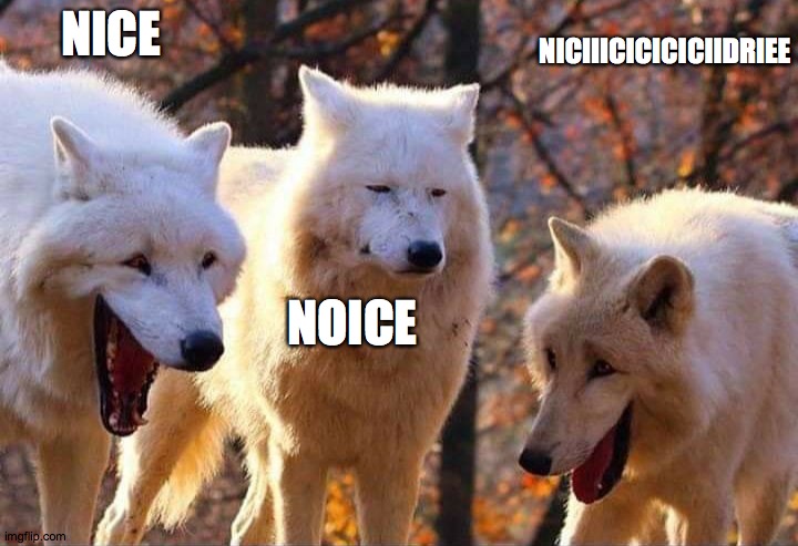 Laughing wolf | NICE NOICE NICIIICICICICIIDRIEE | image tagged in laughing wolf | made w/ Imgflip meme maker